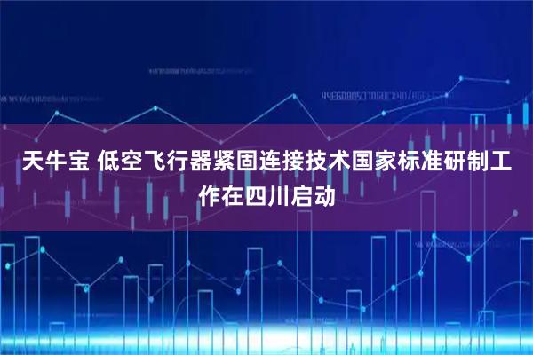 天牛宝 低空飞行器紧固连接技术国家标准研制工作在四川启动