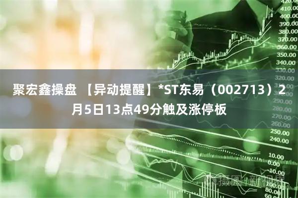 聚宏鑫操盘 【异动提醒】*ST东易（002713）2月5日13点49分触及涨停板