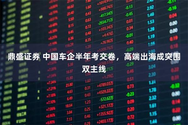 鼎盛证券 中国车企半年考交卷，高端出海成突围双主线