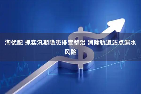 淘优配 抓实汛期隐患排查整治 消除轨道站点漏水风险