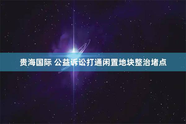 贵海国际 公益诉讼打通闲置地块整治堵点